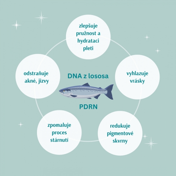 Biorevitalizace polynukleotidy z lososí DNA